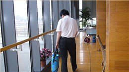 家庭其它蟲害服務(wù)