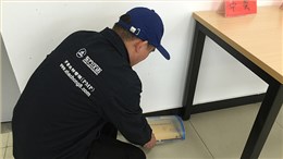 家庭滅老鼠服務(wù)