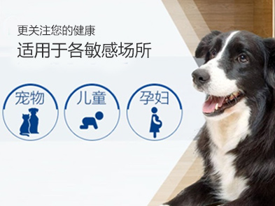 北京滅跳蚤公司，殺跳蚤公司哪家好