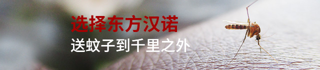 專業(yè)滅蚊子