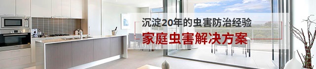 家庭蟲害防治解決方案