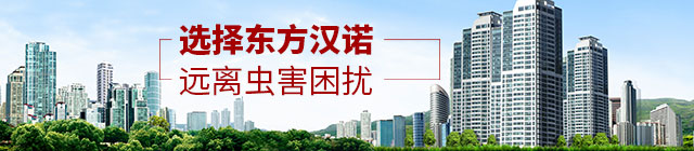選擇東方漢漢諾，遠(yuǎn)離蟲害困擾